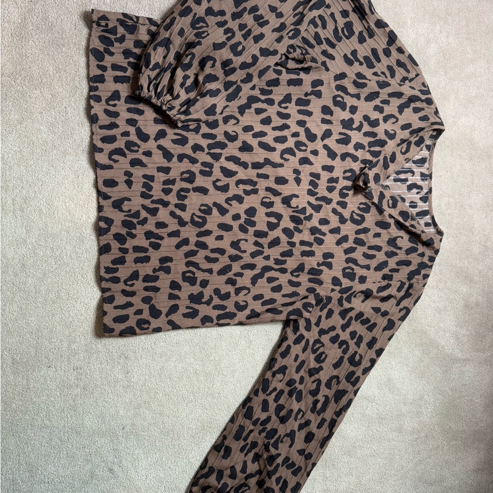 Leopard Print Long Sleeve Blouse